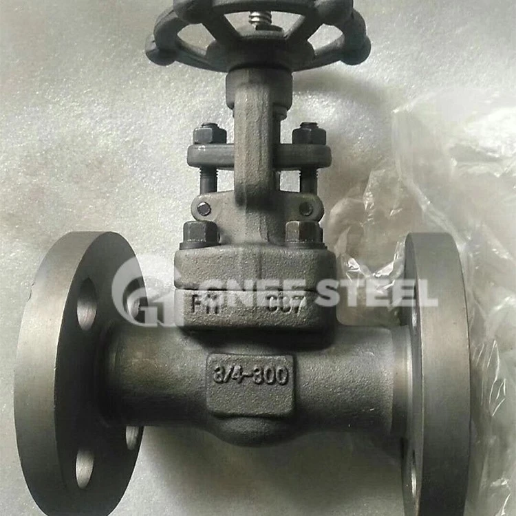 Forged A105 Globe Valve
