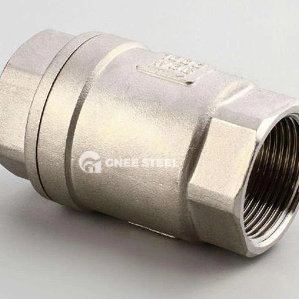 Stainless Steel Spring Check Valve